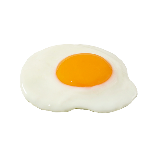  Fried Egg